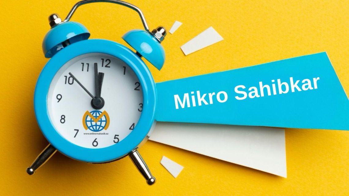 Mikro sahibkar